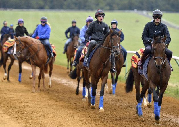 Out on the Gallops. Photo: Aston Martin Pictures