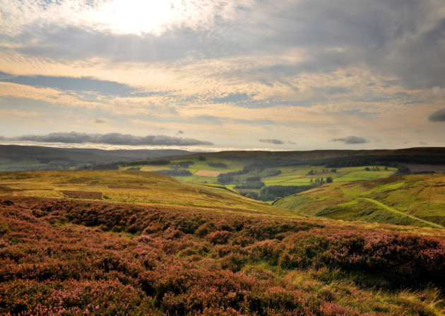 Moorland in Weardale, North Pennines Area of Outstanding Natural Beauty. Photo: Visit County Durham