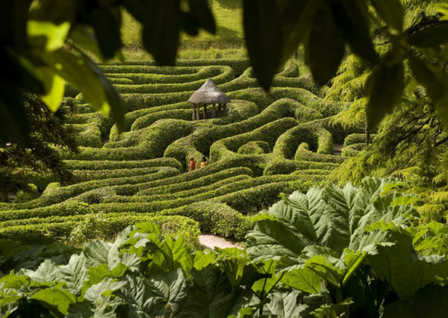 The laurel maze, Glendurgan Garden, Cornwall. ©National Trust Images/John Millar