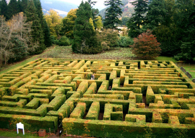 Traquair Maze, Scotland
