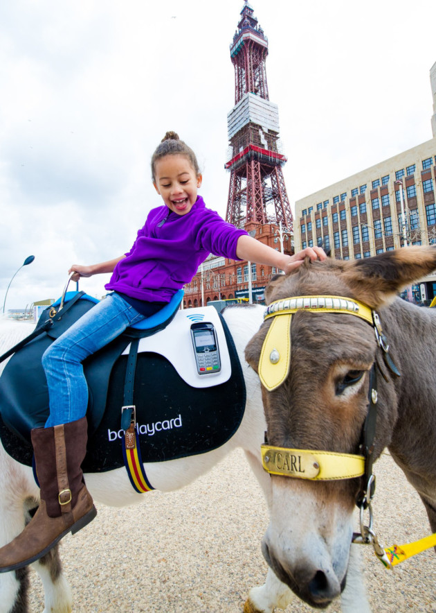21st August 2014 - Blackpool: Cashless Donkey rides come to Blackpool Beach