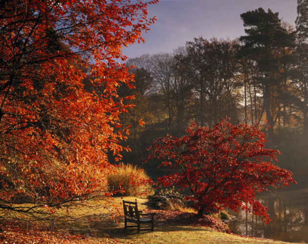 autumn in britain
