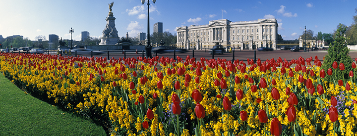 Buckingham Palace in the spring, London, England, UK.