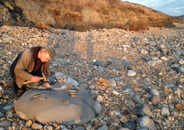 Search for fossils on the beach at Lyme Regis, Dorset - Discover Britain