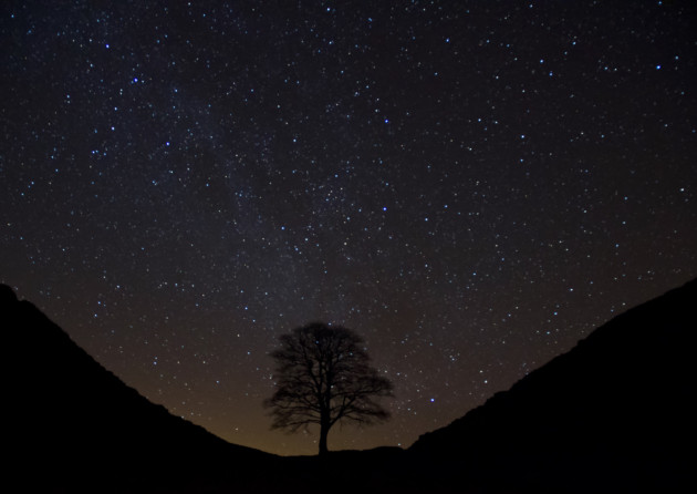 Sycamore Gap along Hadrian's Wall, Northumberland. Photo: Cain Scrimgeour