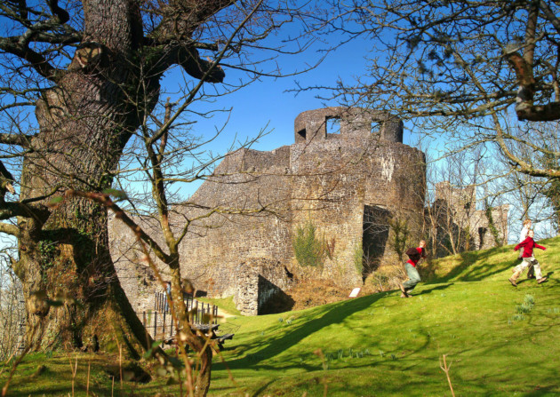 Dynefwr Castle
