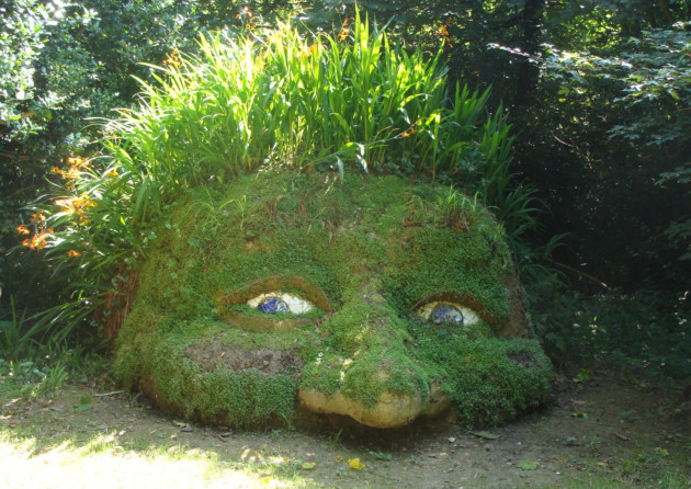 Giant's Head natural sculpture along the Woodland Walk. Photo: Heligan