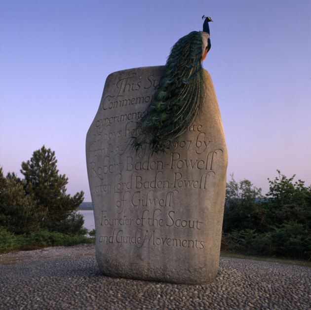 A peacock sitting on the Boy Scout Memorial on Brownsea Island. ©NTPL/Joe Cornish