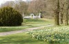 Cholmondeley Castle, daffodils, gardens
